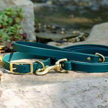 Load image into Gallery viewer, Waterproof Biothane® Leash - Emerald (brass)