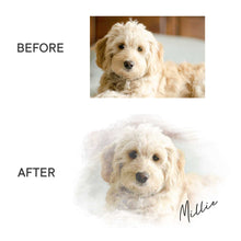 Load image into Gallery viewer, photo of a dog "before" and the "after" custom pet illustration, with cursive font reading Millie, the dog's name