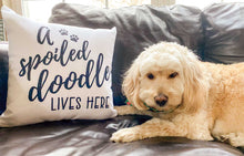 Load image into Gallery viewer, White square throw pillow that reads A Spoiled Doodle Lives Here in black script font with two little paws sitting on brown leather couch next to a blond mini goldendoodle dog