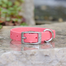Load image into Gallery viewer, Waterproof Biothane® Collar - Coral