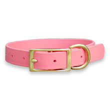 Load image into Gallery viewer, Waterproof Biothane® Collar - Coral
