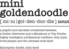 Load image into Gallery viewer, Mini Goldendoodle Dictionary Definition