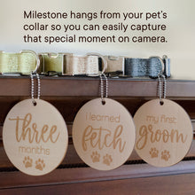 Load image into Gallery viewer, 3 puppy milestone wooden engraved circular discs each hanging from a collar on top of a fireplace with text describing what they are
