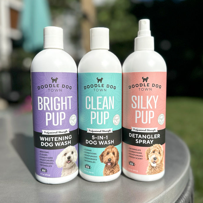 The Best Dematting Shampoo for Dogs - 2024