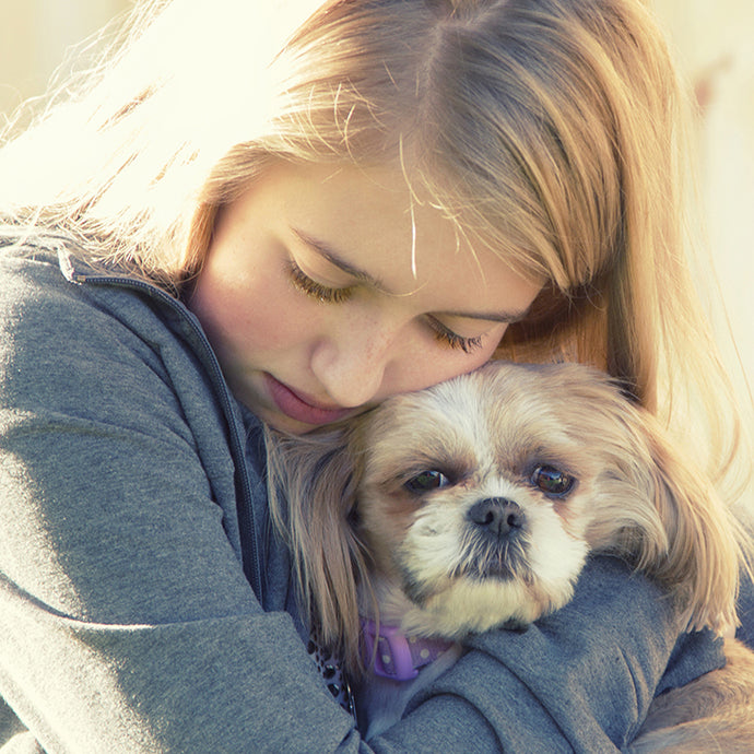 The Best Anxiety Relief for Dogs: A Complete Guide for Pet Owners