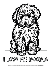 I Love My Doodle Coloring Sheet