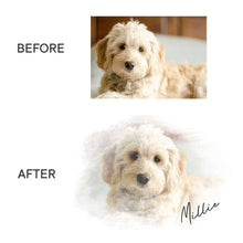 Load image into Gallery viewer, photo of a dog &quot;before&quot; and the &quot;after&quot; custom pet illustration, with cursive font reading Millie, the dog&#39;s name
