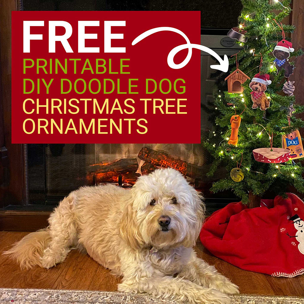 FREE Printable DIY Doodle Dog Christmas Tree Ornaments Craft. Cute blond mini Goldendoodle sitting on wood floors by fire place next to small Christmas tree with the DIY ornament crafts hanging on tree