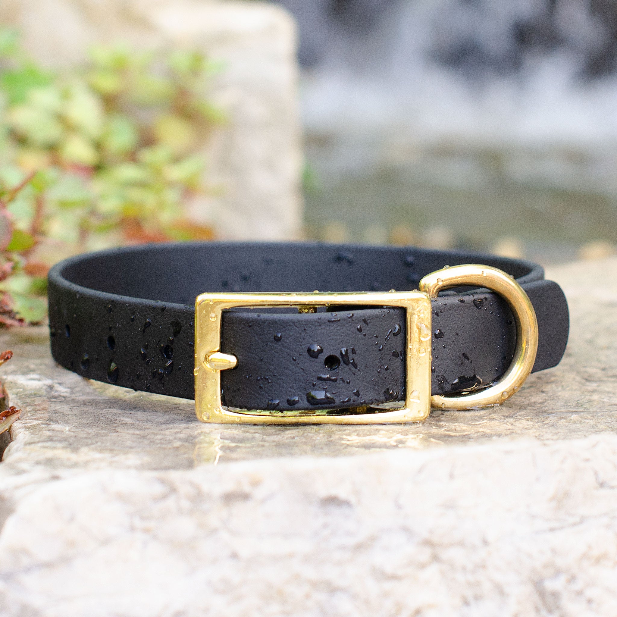 Waterproof Biothane® Collar - Black – Doodle Dog Town