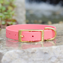 Load image into Gallery viewer, Waterproof Biothane® Collar - Coral
