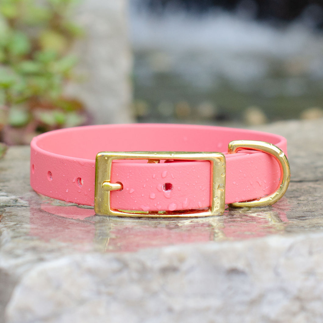 Waterproof Biothane® Collar - Coral