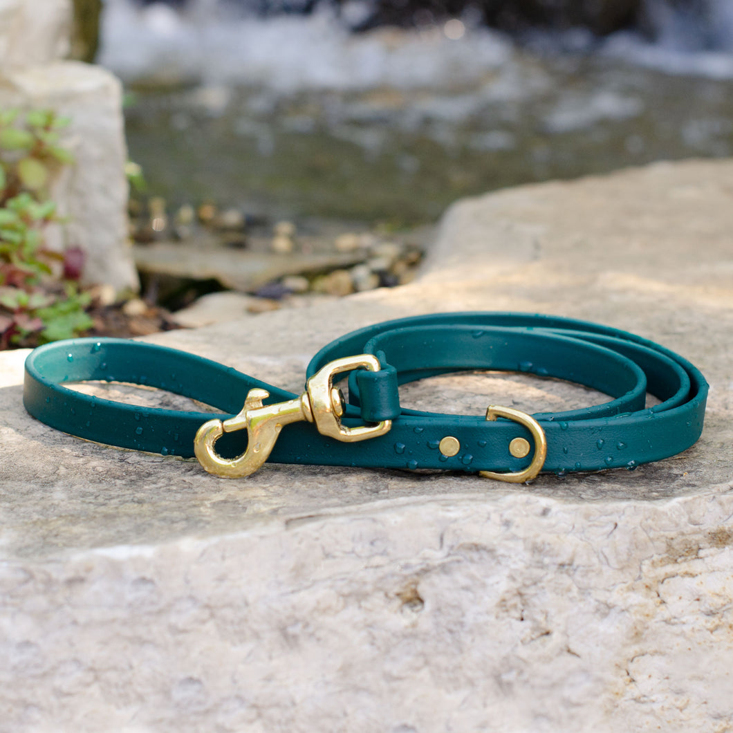 Waterproof Biothane® Leash - Emerald (brass)