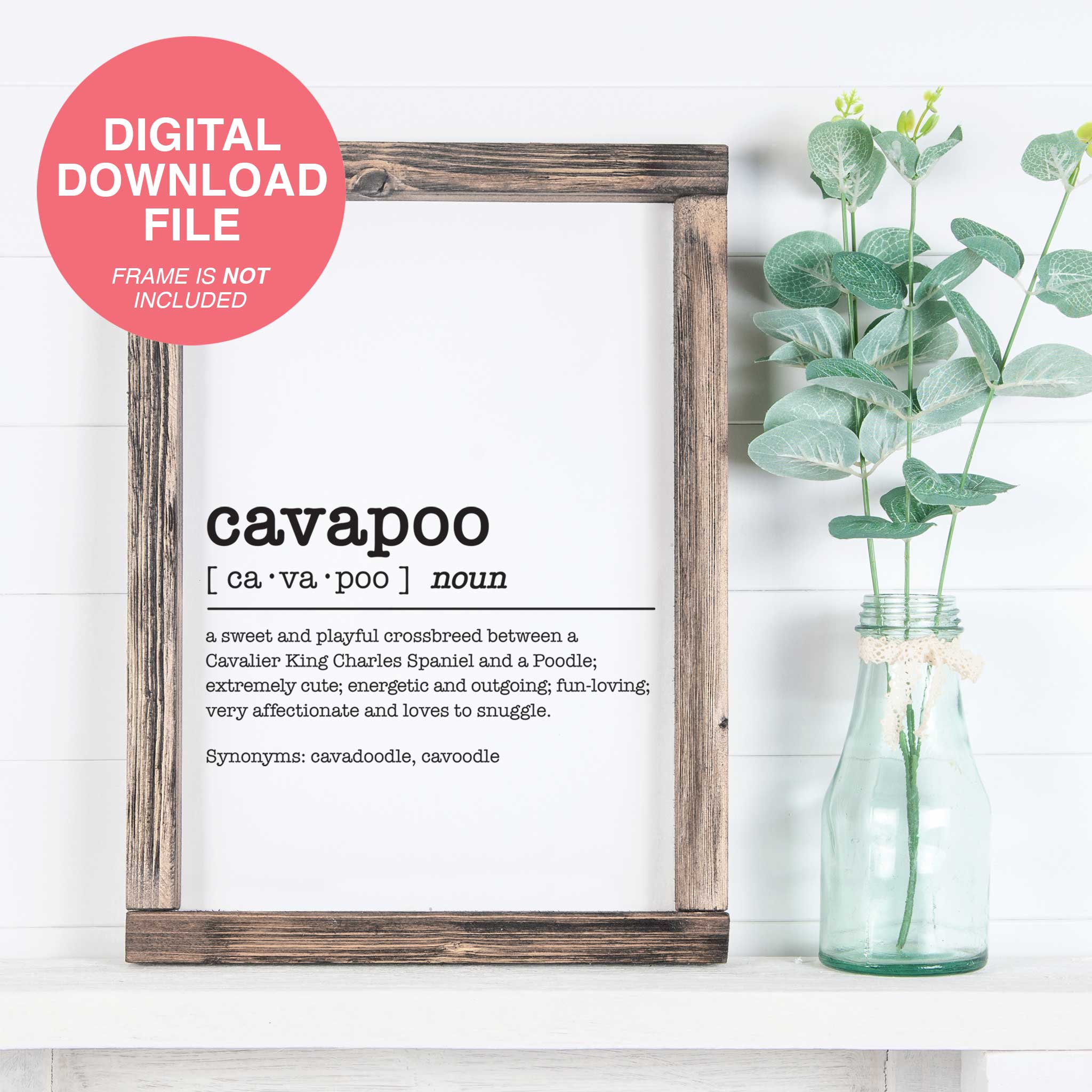 Cavapoo Dictionary Definition – Doodle Dog Town