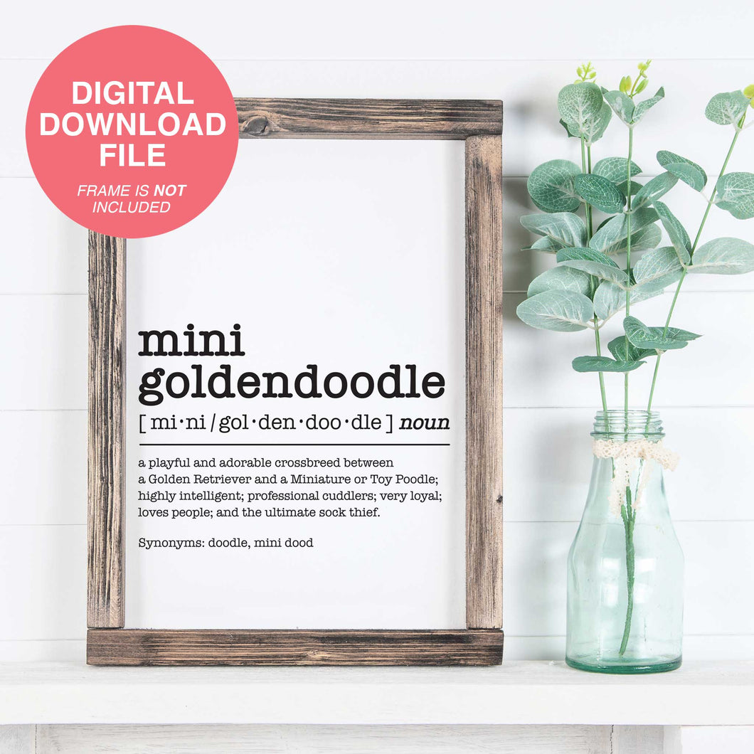 Mini Goldendoodle Dictionary Definition