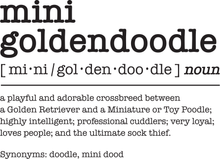 Load image into Gallery viewer, Mini Goldendoodle Dictionary Definition
