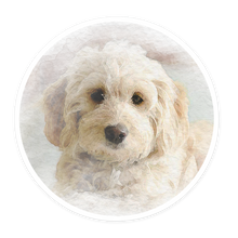 Load image into Gallery viewer, Goldendoodle Watercolor Sticker
