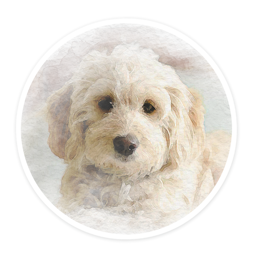 Goldendoodle Watercolor Sticker